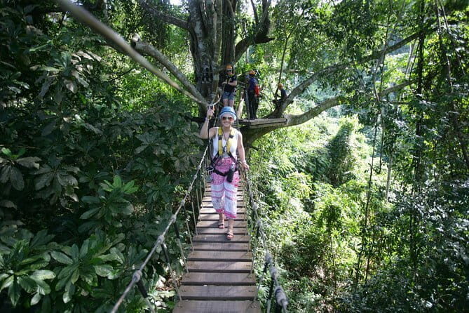 Sky Hawk Zipline Chiang Mai  Ultimate Canopy Adventure - The Sum Up