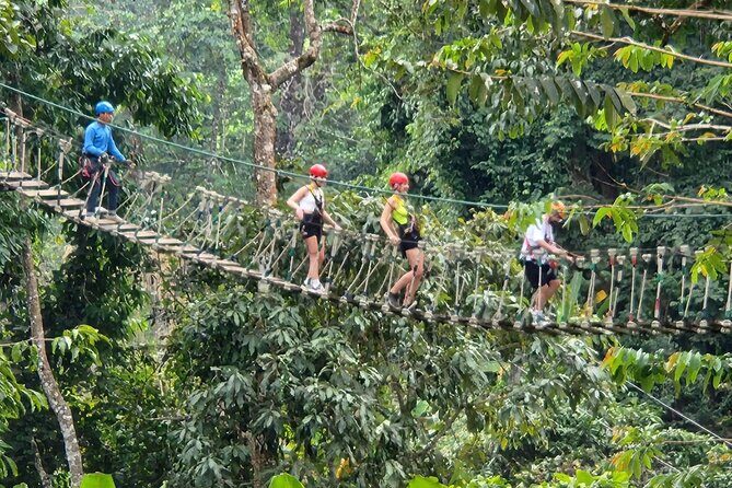 Sky Hawk Zipline Experience in Chiang Mai - The Sum Up