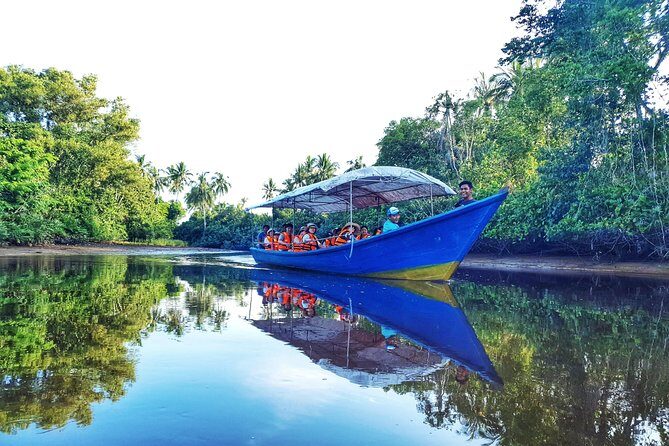 Sky-Mirror Photographing and Proboscis Monkey & Fireflies Watching River-Cruise - Key Points