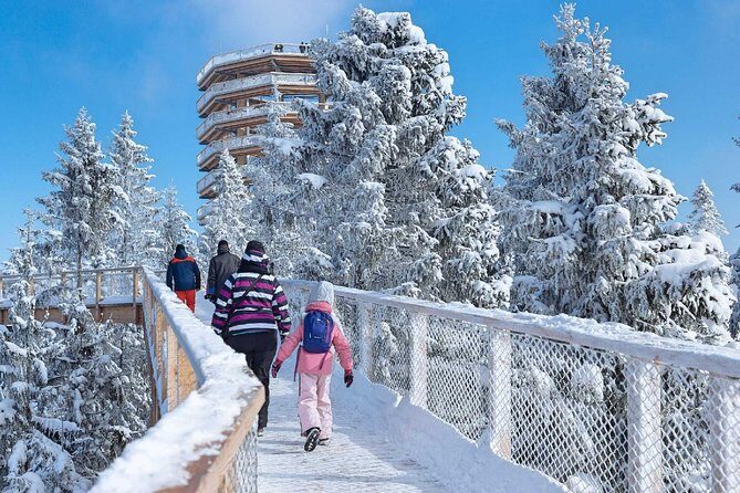Sky Walk Heart of Poronin & Thermal Baths from Kraków - Key Points