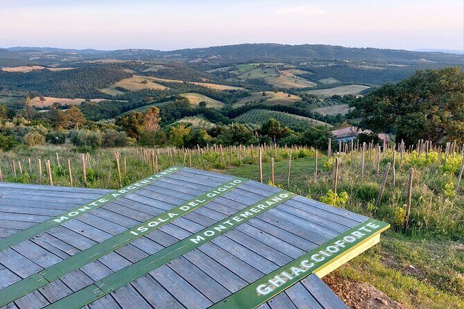 Skydeck - sunset picnic with 360° view of scenic Maremma hills - A Deep Dive into the Skydeck Sunset Picnic Experience