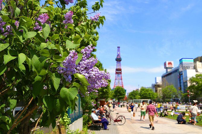 SkyExpress: Sapporo Customised Private Day Tour (Up to 15 Passengers) - Detailed Breakdown of the Stops