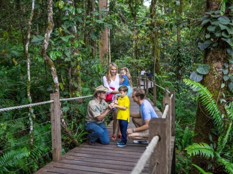 Skyrail Rainforest Cableway Round-Trip Experience - Key Points