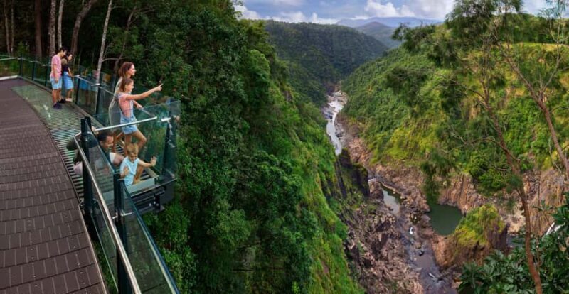 Skyrail Rainforest Cableway Round-Trip Experience - The Scenic Views