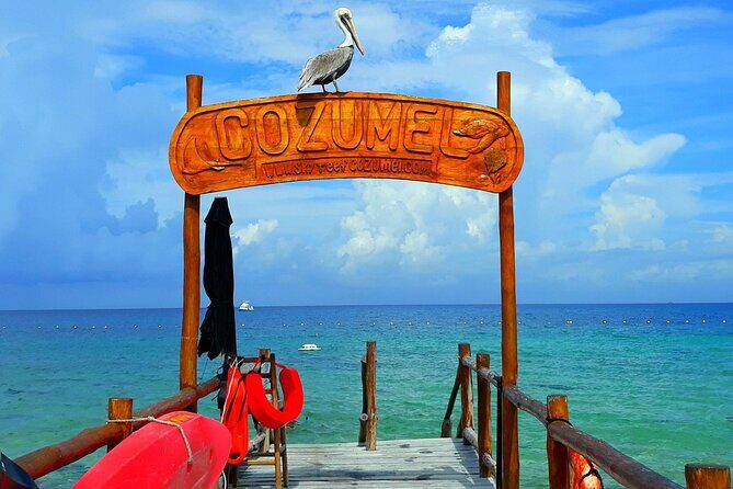 SkyReef Cozumel Snorkel & Tequila Tasting - Who Should Consider This Tour?