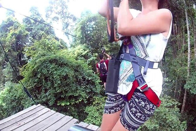 Skytrex Adventure in Langkawi (with transfers) - The Sum Up