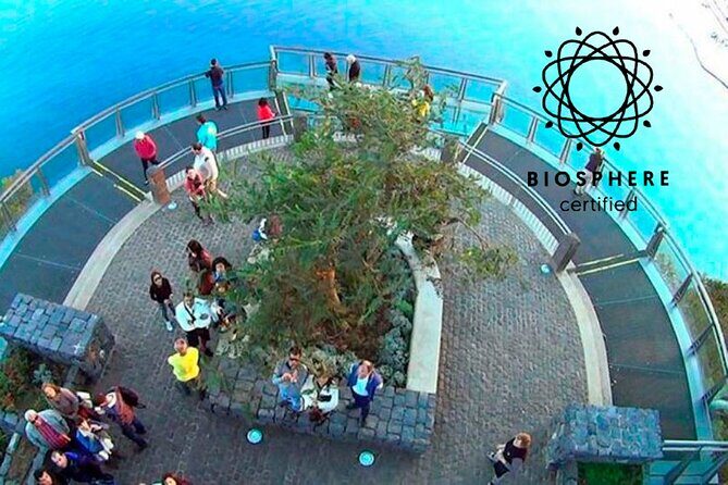 Skywalk and 4x4 Adventure with Amazing Views and Wine Tasting - Exploring Madeira’s Landscape in a 4x4