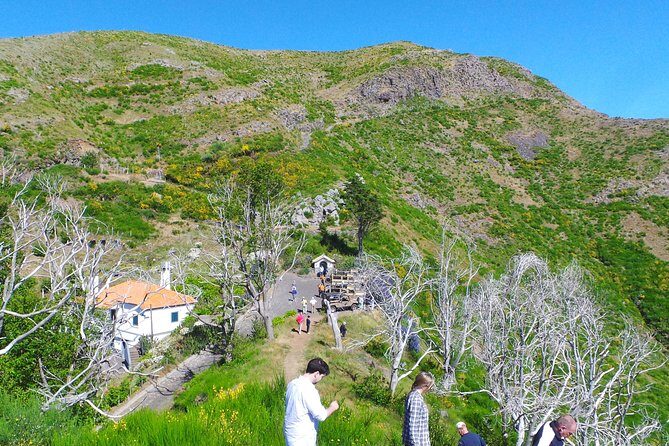 Skywalk and 4x4 Adventure with Amazing Views and Wine Tasting - Who Would Love This Tour?