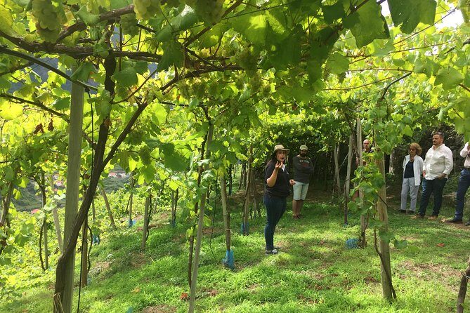 Skywalk with Wines Tasting and Vineyards Half day 4x4 Adventure - Final thoughts