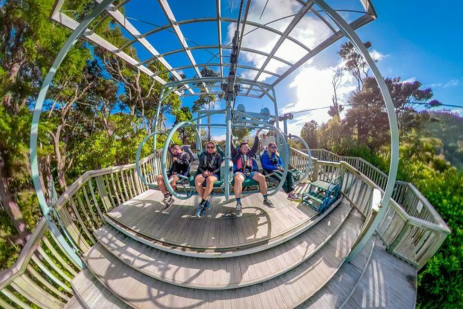 Skywire Adventure at Cable Bay, Nelson - The Sum Up