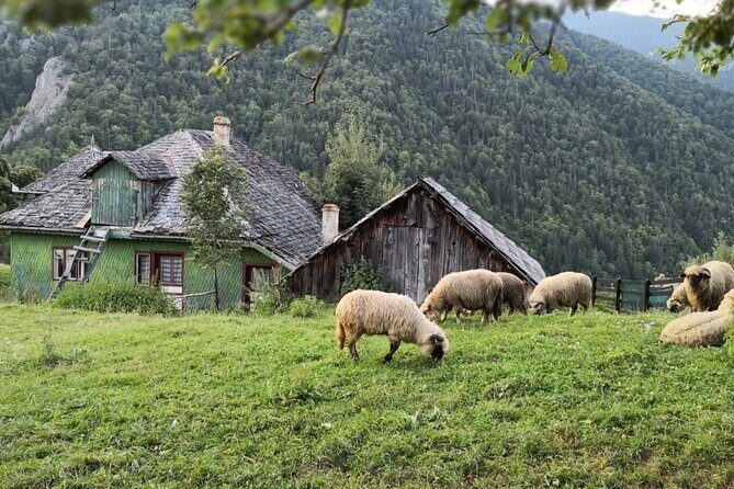 Slanic Salt Mines & Village Charms: Bucharest Day Escape - Frequently Asked Questions