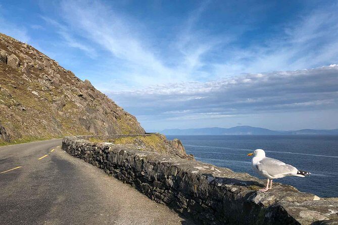 Slea Head Photo & Sightseeing Tour - Why This Tour Offers Value