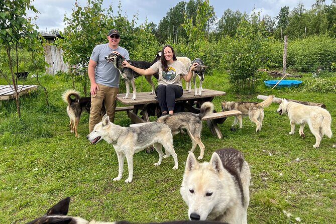 Sled Dog Kennel Tour - The Sum Up