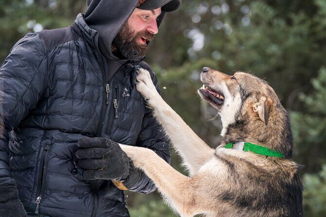 Sledding and Homesteading Adventure - FAQs