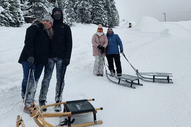 Sledding Cheese Fondue, Chocolate - Who Is This Tour Best For?