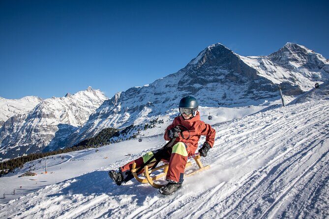 Sledding Cheese Fondue, Chocolate - FAQ: Your Questions Answered