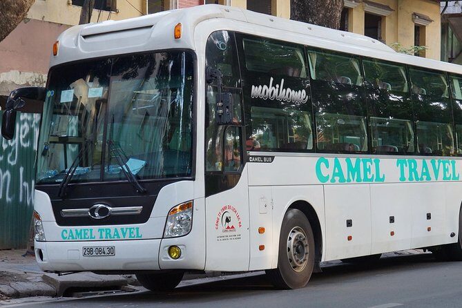 Sleeping bus Ninh Binh to Hue - Comfort, Amenities, and Actual Service
