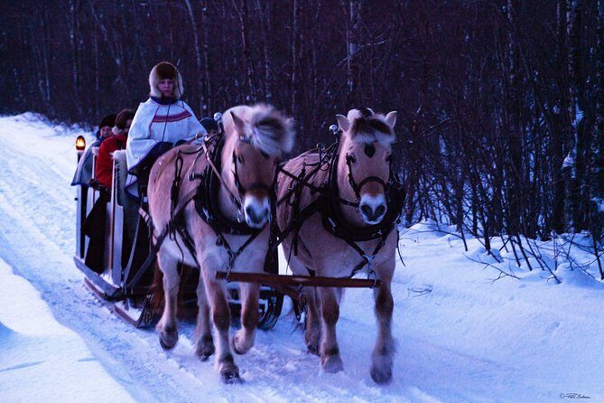 Sleigh Ride w/ snacks - Experience Arctic Farm Life - An Overview of the Experience