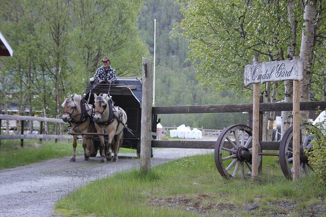 Sleigh Ride w/ snacks - Experience Arctic Farm Life - Authenticity and Personal Touch