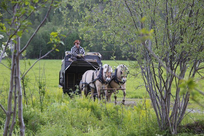Sleigh Ride w/ snacks - Experience Arctic Farm Life - What We Loved