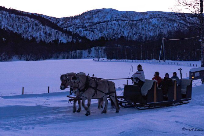 Sleigh Ride w/ snacks - Experience Arctic Farm Life - Possible Considerations