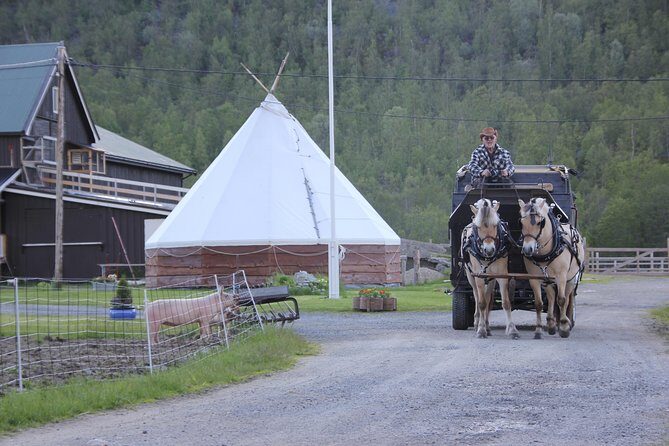 Sleigh Ride w/ snacks - Experience Arctic Farm Life - Who Will Love This Tour?