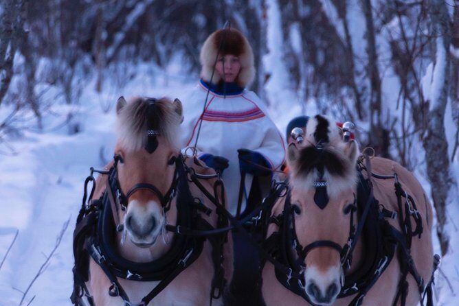 Sleigh Ride w/ Tapas Meal - Experience Arctic Farm Life - Who Is This Tour Perfect For?