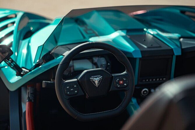 Slingshot Rental (Dallas - Fort Worth Metroplex) - The Sum Up