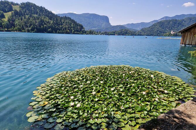 Slovenia's highlights: Bled lake and Ljubljana Full-Day Private Tour from Zagreb - FAQs