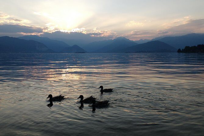 Slow boat tour for small groups with appetizer on Lake Maggiore - A detailed look at the experience