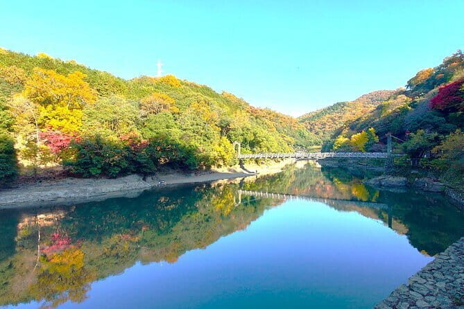 Slow Cycling Tour at Uji's Matcha Green Tea Fields and Heritage - Who’s This Tour Best For?