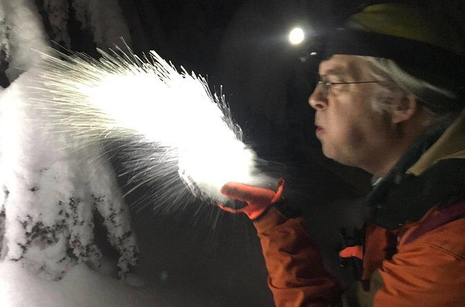 Slow down and enjoy winter on a private snowshoe tour. - Final Thoughts: Who Should Consider This Tour?