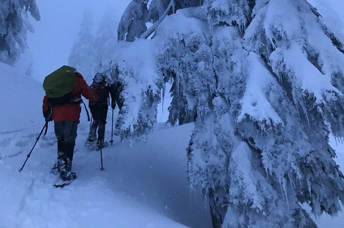 Slow down and enjoy winter on a private snowshoe tour. - FAQ