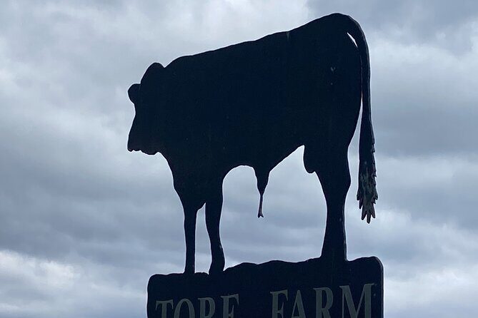 Slow Food Highland Dining and Storytelling in Inverness - Key Points