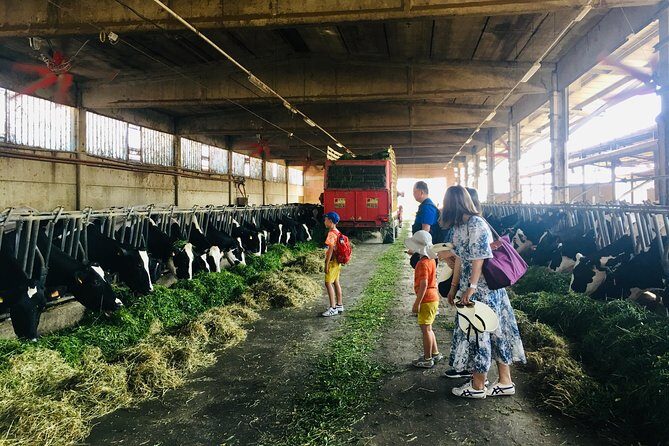 Slow Parma Food Experience Half Day Private Tour and Tasting - FAQ