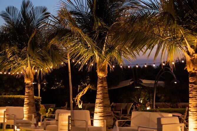 Slow Wine & Tartufo Gelato Tasting Experience - An In-Depth Look at the Experience