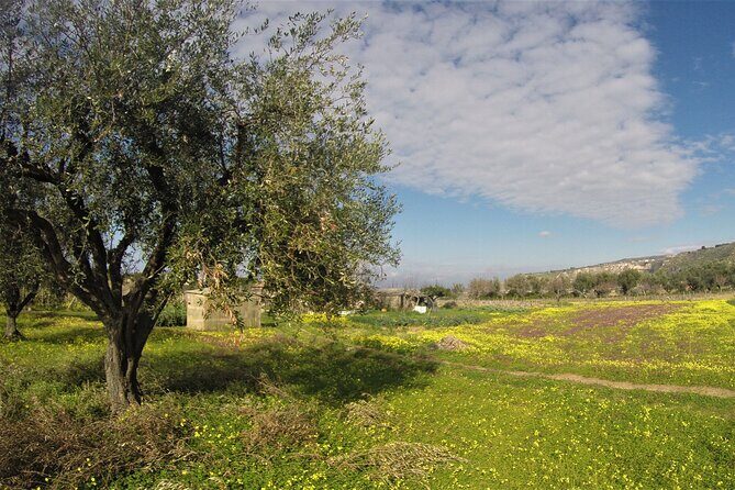 Slow Wine & Tartufo Gelato Tasting Experience - FAQ