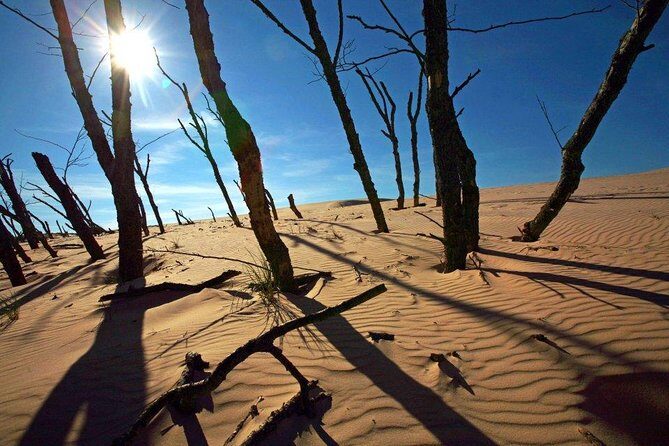 Slowinski National Park Private Tour - Authentic Insights from Reviewers