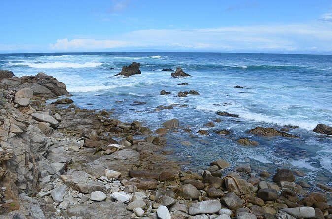 Small Group | 1 Day Tour Through Monterey From San Francisco - Frequently Asked Questions