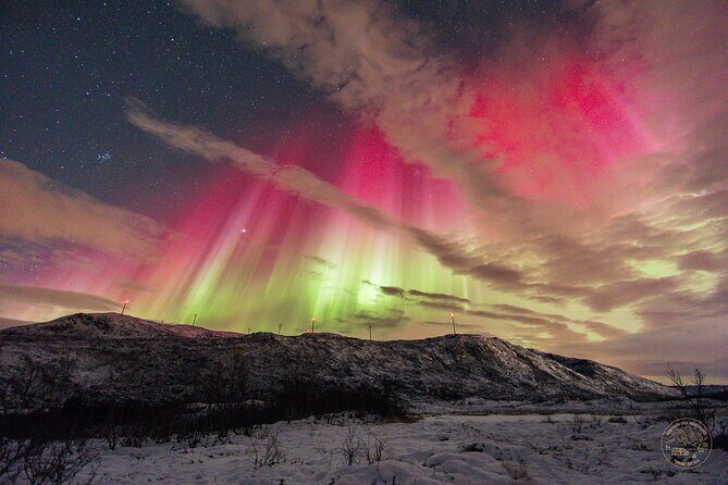 Small Group 4x4 Van Journey in Search of the Northern Lights - FAQ