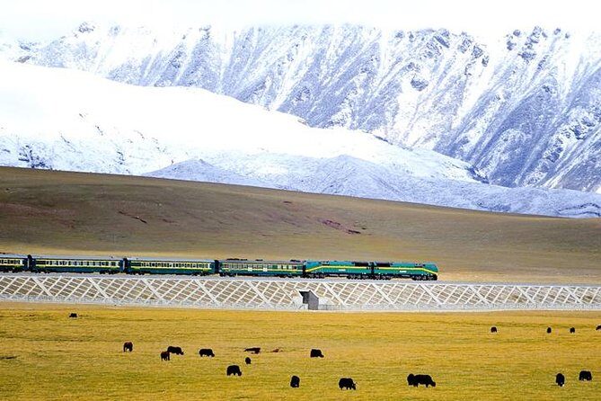 Small-Group 6-Night Lhasa to Everest Tour: Train from Xining - Key Points