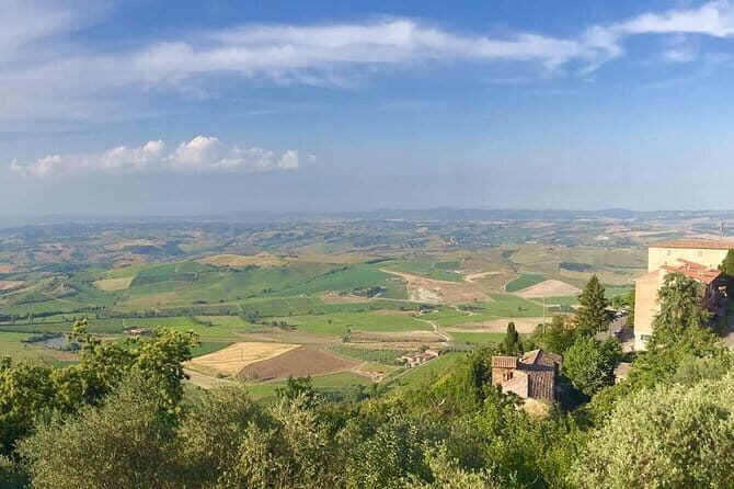 Small group (7) Chianti-side wine tour with Mercedes V class Van - An In-Depth Look at the Chianti Wine Tour