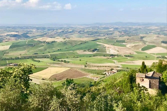 Small group (7) Chianti-side wine tour with Mercedes V class Van - Seamless Logistics and Comfort