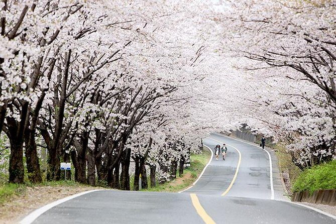 Small Group 7D Korea package Tour with Seoul Gyeongju Busan Jeju - Final Thoughts: Who Is This Tour Best For?