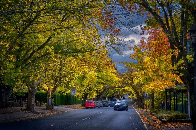 Small Group Adelaide Hills and Hahndorf Hideaway Tour from Adelaide - The Sum Up