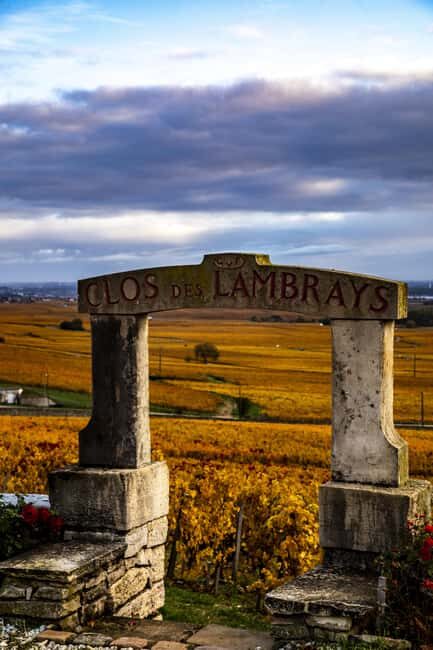 Small group Afternoon in Côte de Nuits - Discover the Charm of the Côte de Nuits in a Small-Group Afternoon Tour
