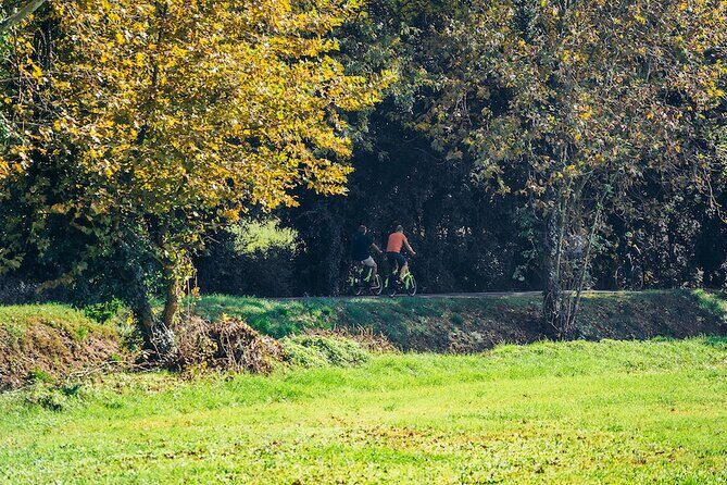 Small-group Amarone Wine e-Bike Tour from Verona - Small-Group Amarone Wine e-Bike Tour from Verona: A Blend of Adventure, Nature, and Wine