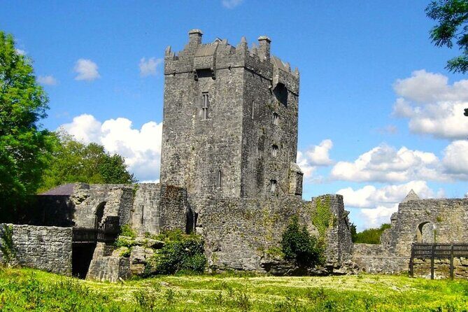 Small Group Aughnanure Castle, Sheepdog Demo & Connemara Tour - The Practicalities and Value