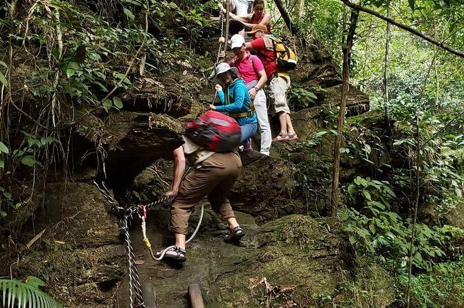 Small Group - Bach Ma National Park Trekking Tour From Hue - Introduction: What You Can Expect from This Tour