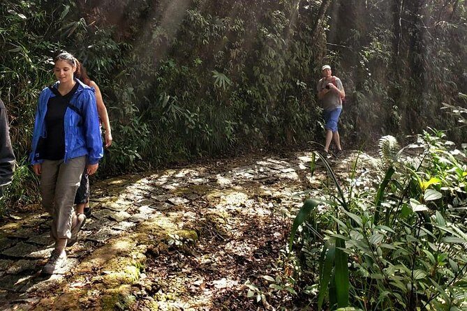 Small Group - Bach Ma National Park Trekking Tour From Hue - Who Is This Tour Perfect For?